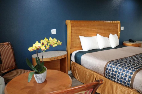 Valli Hi Motel image 7